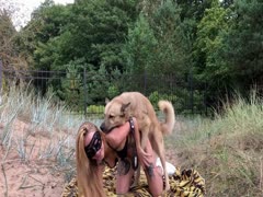 Dog fucking a blonde slut outdoors